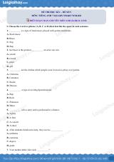 Đề thi học kì 1 Tiếng Anh 7 iLearn Smart Wolrd - Đề số 9